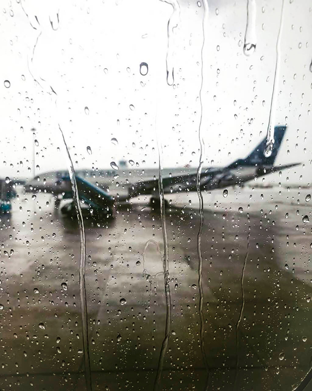 Learn Hue City’s legacy with expert insights